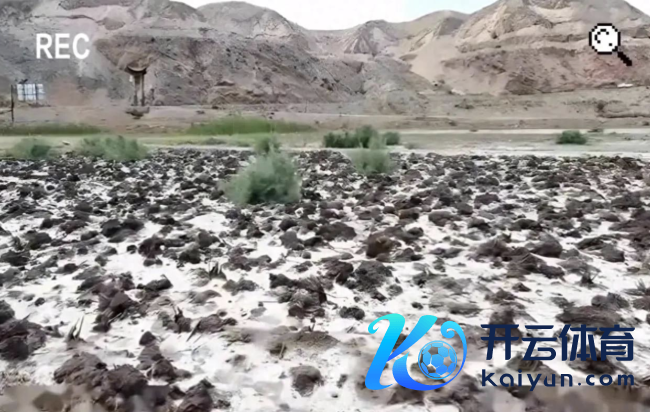 媒体评花10万假装种番薯 口头观点之痛