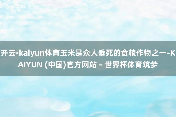 开云·kaiyun体育玉米是众人垂死的食粮作物之一-KAIYUN (中国)官方网站 - 世界杯体育筑梦