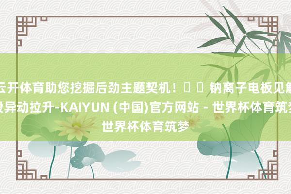 云开体育助您挖掘后劲主题契机！		钠离子电板见解股异动拉升-KAIYUN (中国)官方网站 - 世界杯体育筑梦