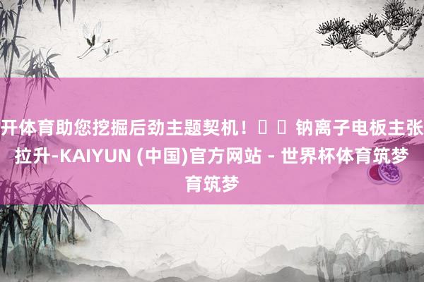 云开体育助您挖掘后劲主题契机！		钠离子电板主张股拉升-KAIYUN (中国)官方网站 - 世界杯体育筑梦