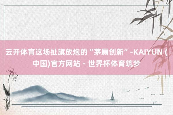 云开体育这场扯旗放炮的“茅厕创新”-KAIYUN (中国)官方网站 - 世界杯体育筑梦