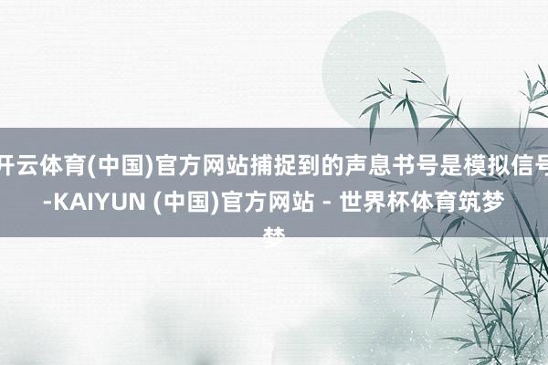 开云体育(中国)官方网站捕捉到的声息书号是模拟信号-KAIYUN (中国)官方网站 - 世界杯体育筑梦