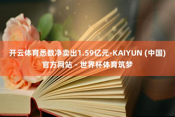 开云体育悉数净卖出1.59亿元-KAIYUN (中国)官方网站 - 世界杯体育筑梦