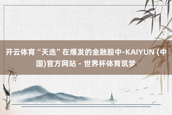 开云体育“天选”在爆发的金融股中-KAIYUN (中国)官方网站 - 世界杯体育筑梦