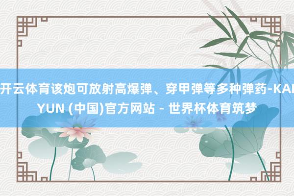 开云体育该炮可放射高爆弹、穿甲弹等多种弹药-KAIYUN (中国)官方网站 - 世界杯体育筑梦